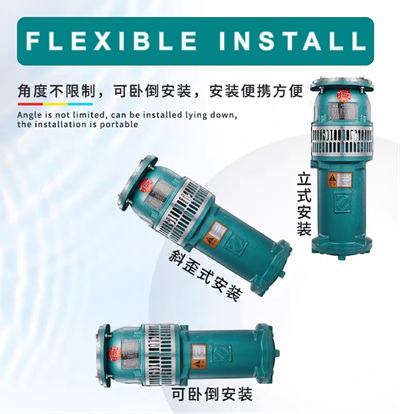 1788534387793013.jpg cast_iron_pumps2-400.jpg
