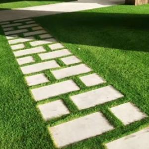 Artificial Grass